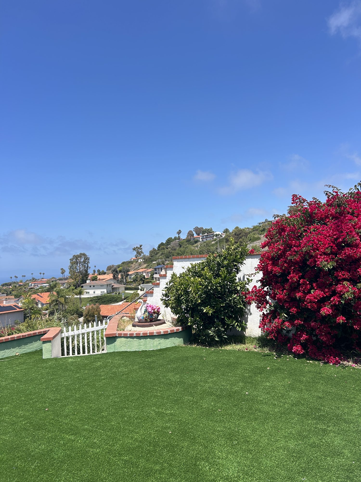 Garden with bougainvillea flowers and a hillside ocean view
